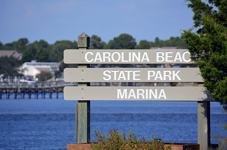 Carolina Beach State Park