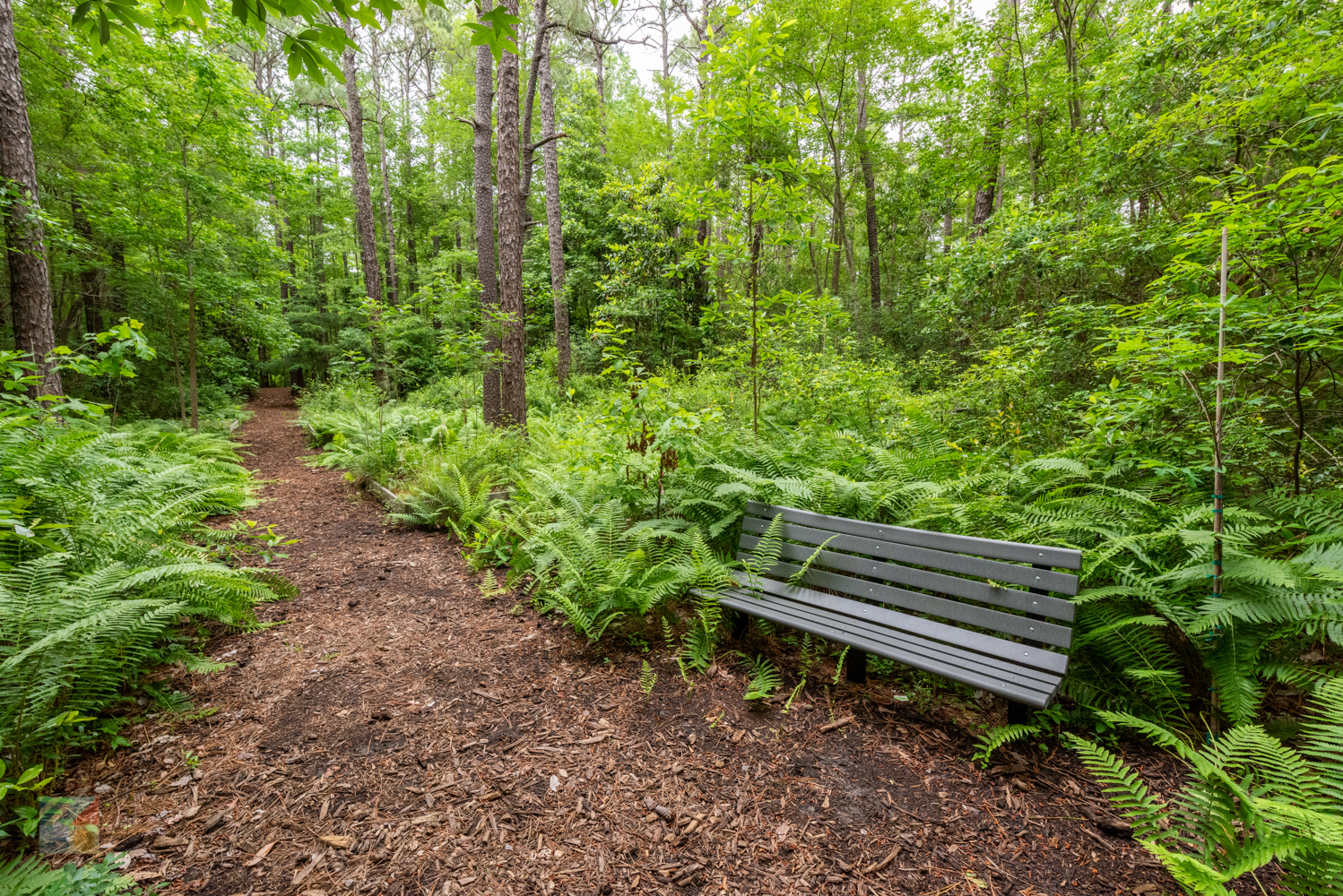 Bluethenthal Wildflower Preserve