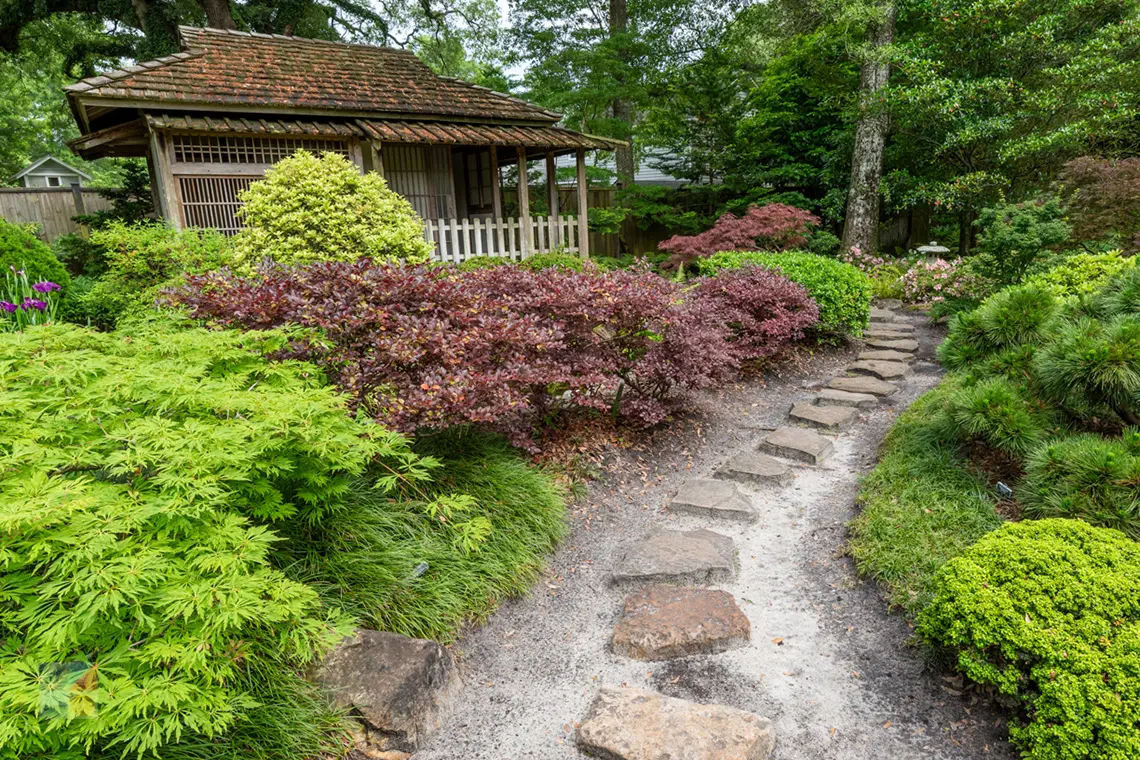 New Hanover County Arboretum