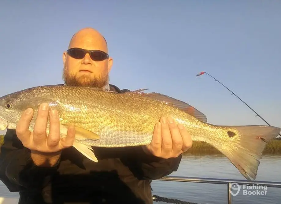 Seagate Charters - Fishing Charter in Wilmington, NC